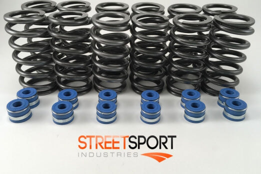 Street Sport Industries valve springs and seals