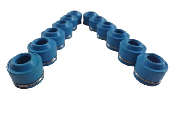 SSI Set of 12, Valve Stem Seals For Triumph Thunderbird SPORT 1998?2004