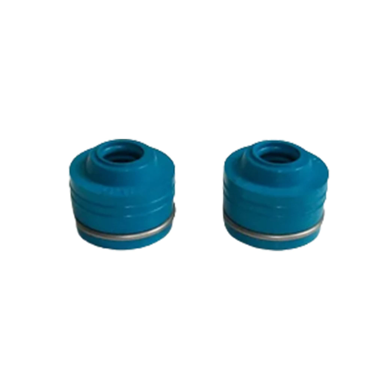 SSI Set of 2, Valve Stem Seals For Honda NSS250 NSS 250 2001 ? 2008