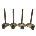 Street Sport Industries Exhaust Valves And Seals Set for Harley IRONHEAD Sportster 70-85 SS Int & 1 5/8", Exh Valves + S