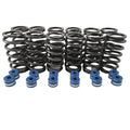 Street Sport Industries +60 lbs Valve Springs & Valve Seals For Cummins 6BT 12V 5.9L Dodge Ram 1989?1998 ? Chrome Silico