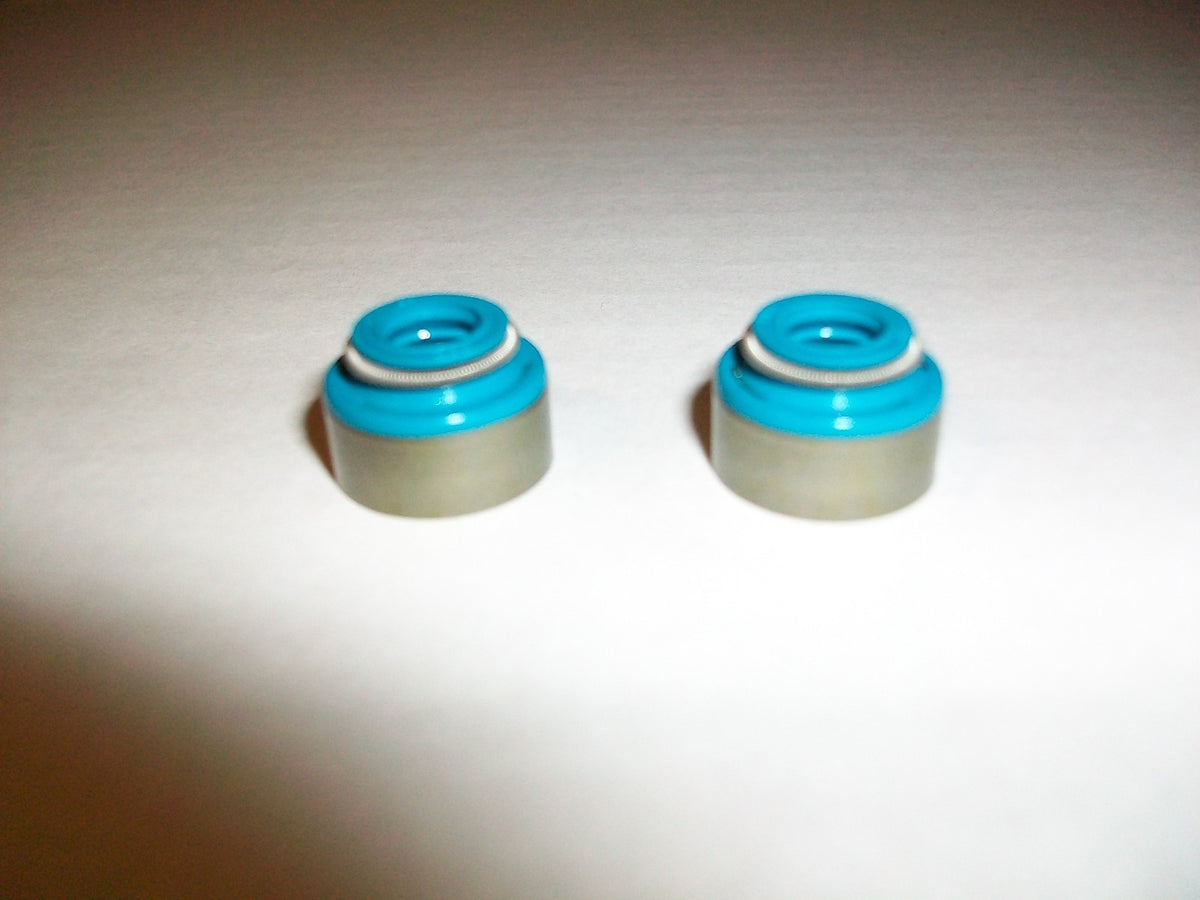 Fits Suzuki GN400 DR400 SP400 SP GN DR 400 - FKM Valve Seals - Set of 2 - NEW!