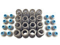 .560" Lift Beehive Valve Springs w/ Seals for 02 - 19 Chevrolet Gen II III IV LS
