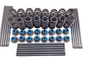 .560" Lift Beehive Valve Springs w/ Seals for 02 - 19 Chevrolet Gen II III IV LS