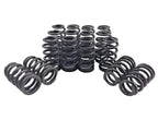 .560" Lift Beehive Valve Springs 1999 - UP HOLDEN HSV LS Gen II III IV - 16 pcs.