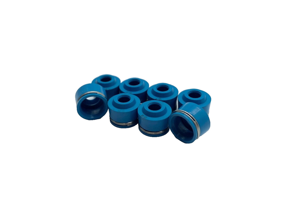Fits Suzuki AN650 BURGMAN AN 650 "ALL YEARS" - FKM Valve Seals - Set of 8 -NEW