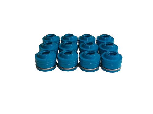 Honda NRX1800 NRX 1800 RUNE "2004 & 2005" FKM Valve Seals - Set of 12 - NEW!!