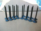 Honda H22 H22A1 H22A4 Prelude VTEC DOHC Black Nitride Valves - Set of 16 - NEW
